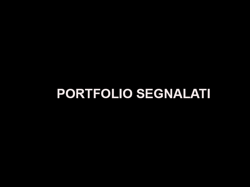 portfolio segnalati.jpg